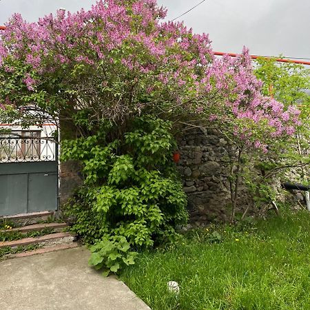 Soso Burduli'S Guesthouse Kazbegi Exterior foto