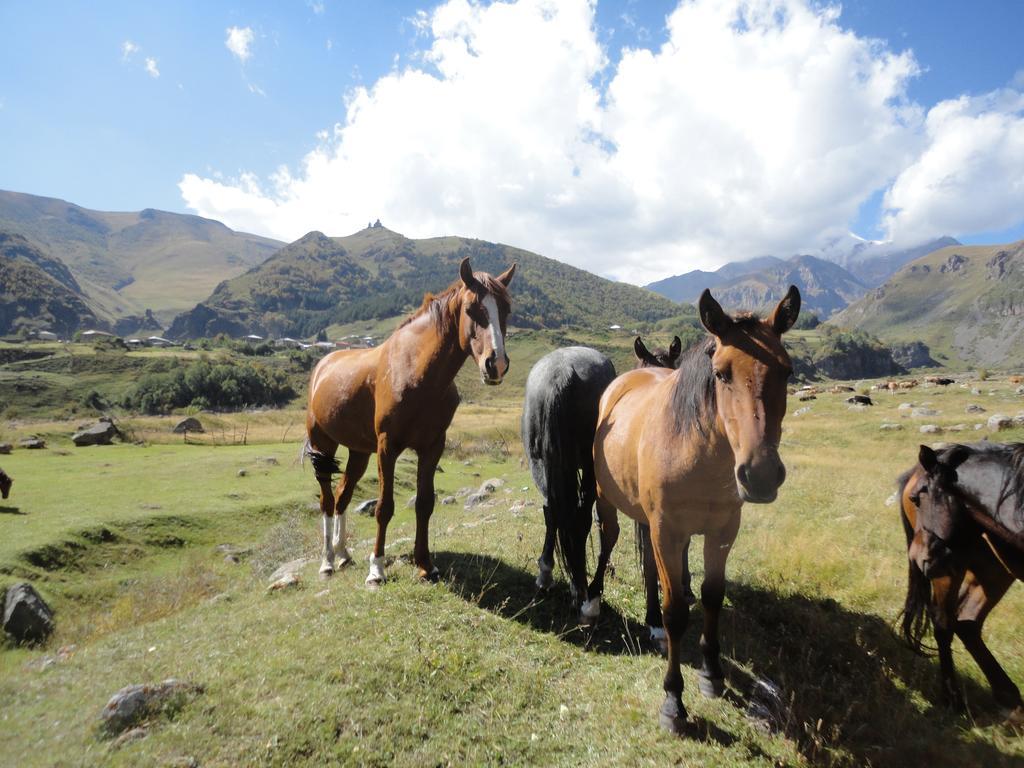 Soso Burduli'S Guesthouse Kazbegi Exterior foto