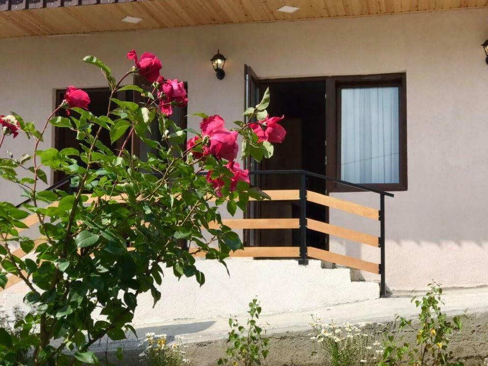 Soso Burduli'S Guesthouse Kazbegi Exterior foto